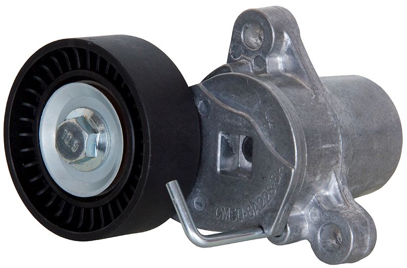 Buy V-Belt Tensioner Ford B-Max M1Je 1.0,Focus Iii M1Da, M1Dc 1.0