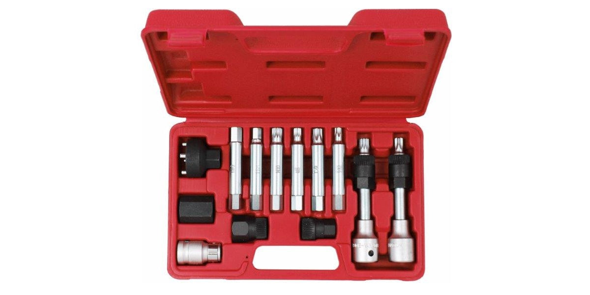 13Pc Alternator Socket Set AMPRO T75571 tools at Modern Auto Parts!