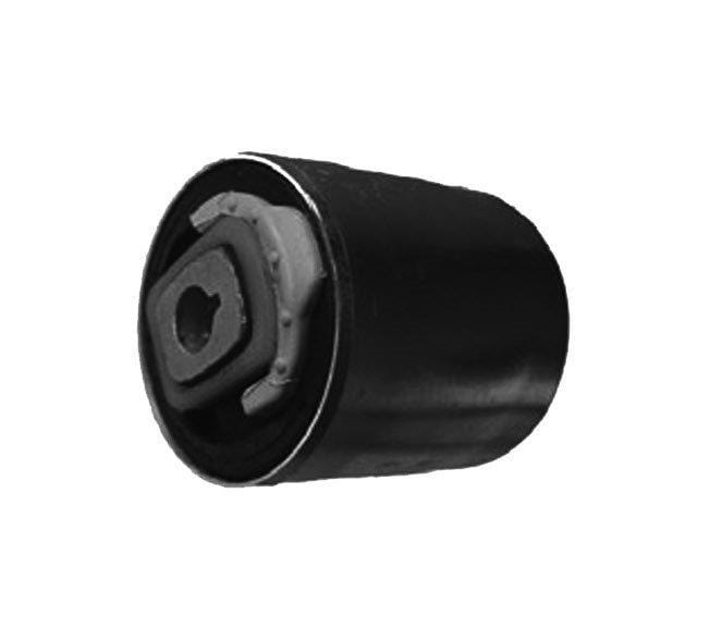 Audi A4 Front Lower Control Arm Bush (14261AP) 