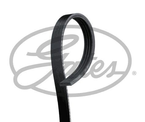 (4PK885) [Gates] V-Ribbed Belt - Modern Auto Parts 