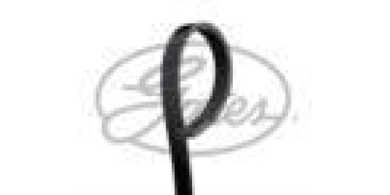 4Pk603 Micro V Belt -Mazda - Modern Auto Parts 