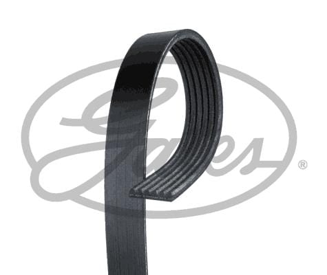 Multi-V Belt (7PK1605) [Gates] Gates