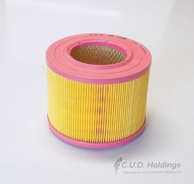 AG1028 Air Filter 2.3Aero; 3.0Griffen/Se (GUD) - Modern Auto Parts