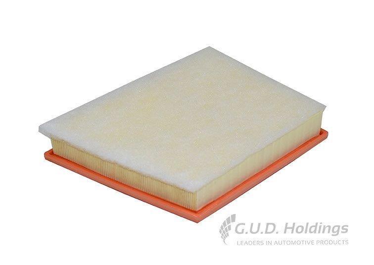 AG1729 Air Filter Bmw 2 Series/ X1/ Nini (GUD) - Modern Auto Parts