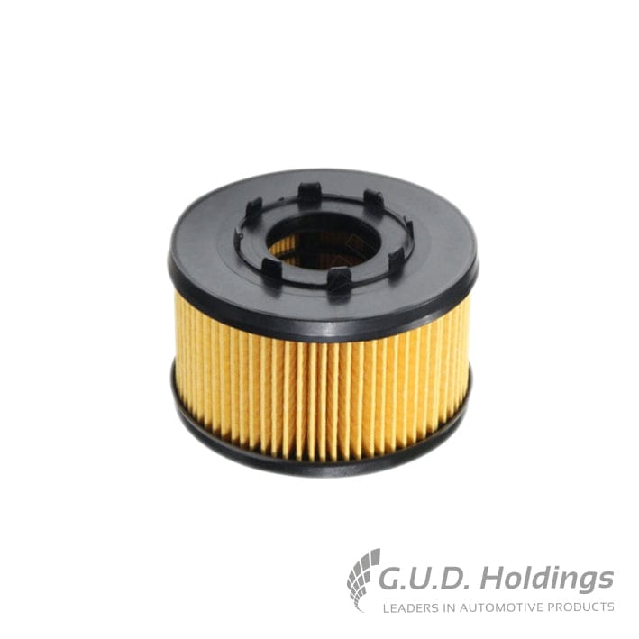 Fram Oil Filter CH9023ECO tools at Modern Auto Parts!