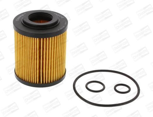 Keep your engine healty with a replacement air, fuel or oil filter. Replacing your cabin or pollen filter can rid you of unpleasant smells inside of oyur car. We sell GUD, FRAM and champion oil filter, air filter, cabin filter and fuel filters.