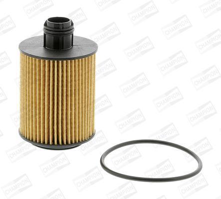 Keep your engine healty with a replacement air, fuel or oil filter. Replacing your cabin or pollen filter can rid you of unpleasant smells inside of oyur car. We sell GUD, FRAM and champion oil filter, air filter, cabin filter and fuel filters.