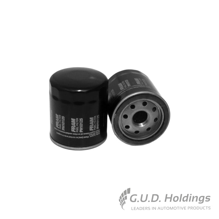 Fram Oil Filter Jeep PH10125 tools at Modern Auto Parts!