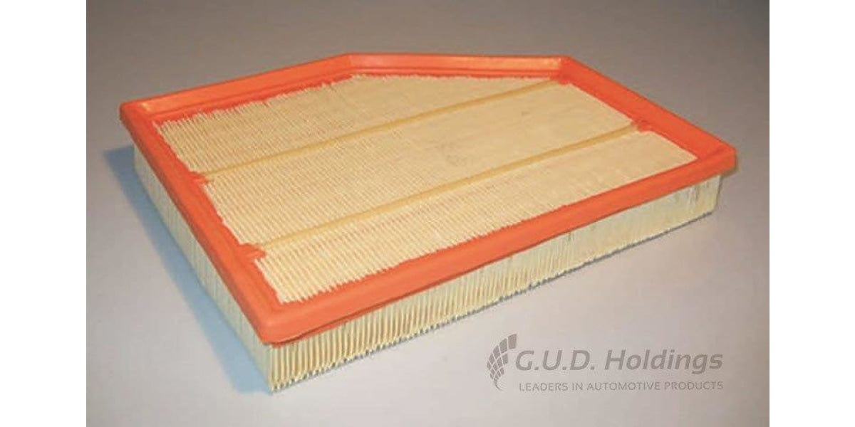 AG1376 Air Filter 523I/525I/530I Z4 M (GUD) - Modern Auto Parts