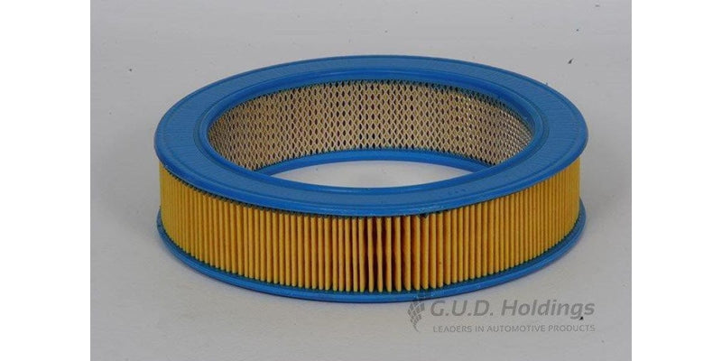AG380 Air Filter Fiat/Ren/Ford/Vaux (GUD) - Modern Auto Parts