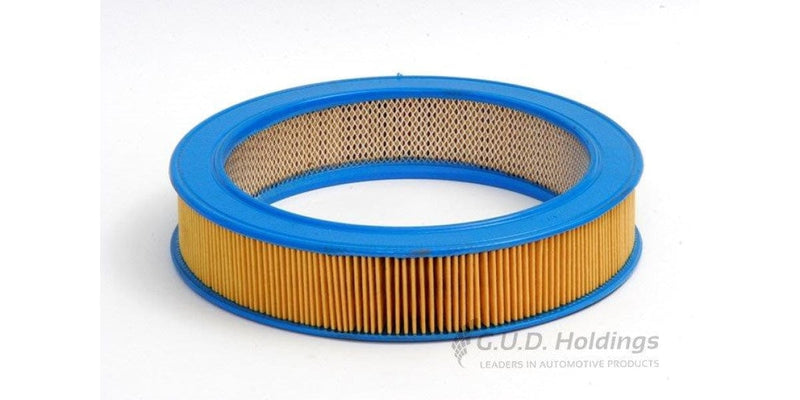 Ag384 Air Filter Ford/dodge (Gud)