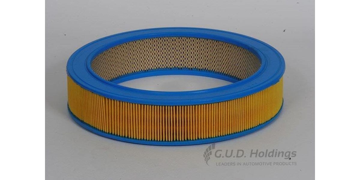 AG457 Air Filter Audi/Chev/Holden/Vw (GUD) - Modern Auto Parts