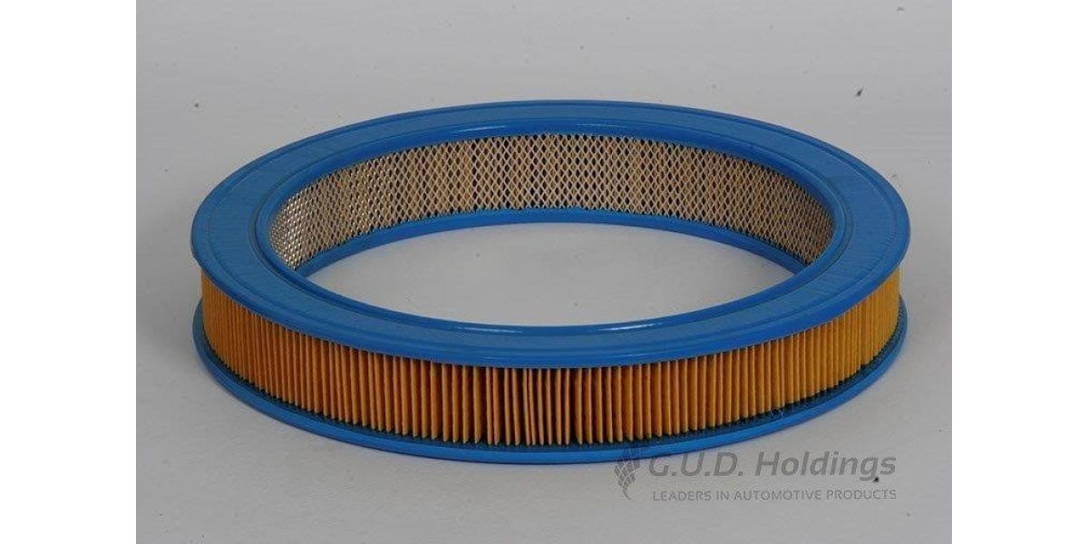 AG596 Air Filter Bmw (GUD) - Modern Auto Parts