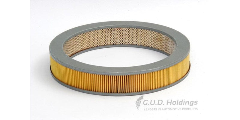 Ag704 Air Filter Nissan (Gud)