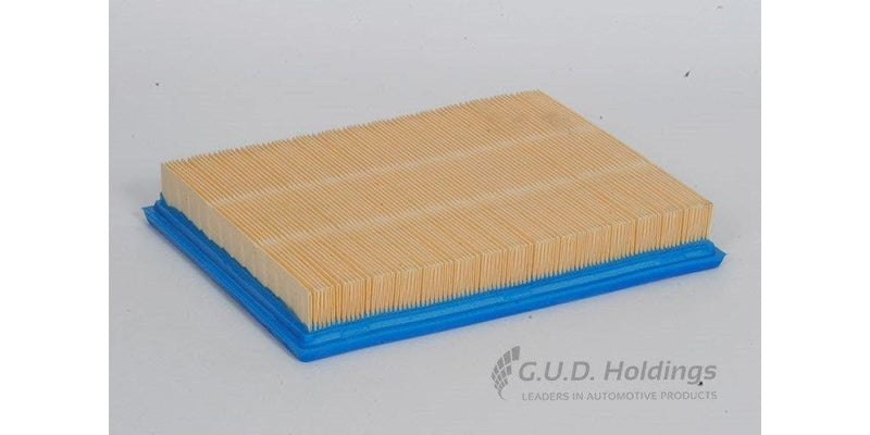 AG894 Air Filter Ford Falcon (GUD) - Modern Auto Parts