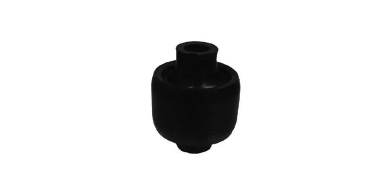 Audi 100/200 Front Lower Control Arm Bush (14306AP) 