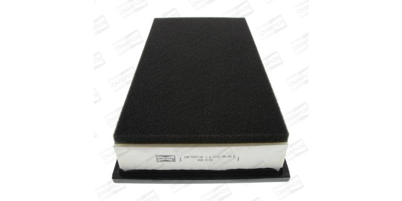 Caf100711P Air Filter Ag1429