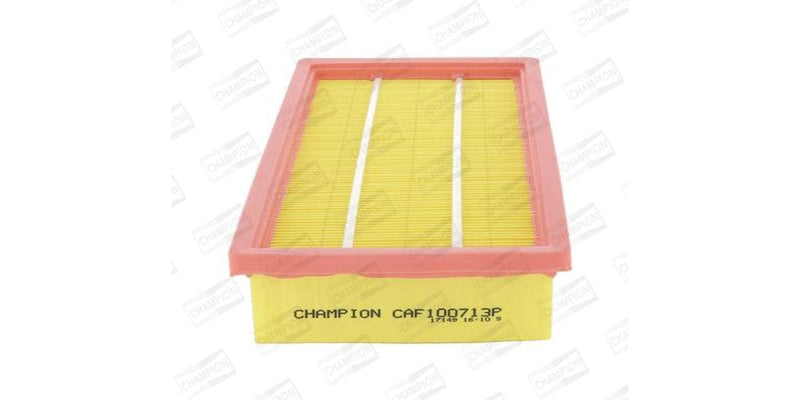 Caf100713P Air Filters Filter