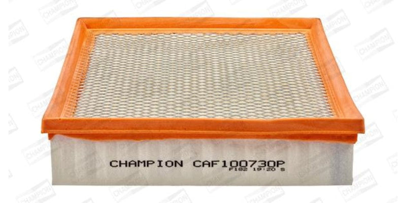 Caf100730P Air Filter Ag1050