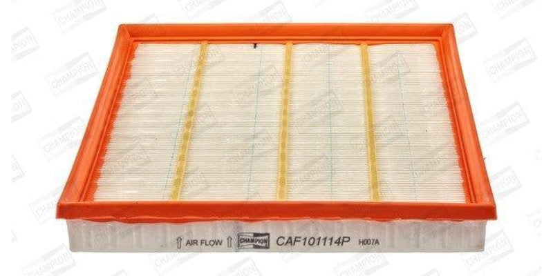 Caf101114P Air Filter Ag1451