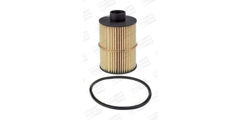 Keep your engine healty with a replacement air, fuel or oil filter. Replacing your cabin or pollen filter can rid you of unpleasant smells inside of oyur car. We sell GUD, FRAM and champion oil filter, air filter, cabin filter and fuel filters.