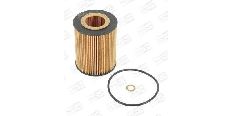Keep your engine healty with a replacement air, fuel or oil filter. Replacing your cabin or pollen filter can rid you of unpleasant smells inside of oyur car. We sell GUD, FRAM and champion oil filter, air filter, cabin filter and fuel filters.