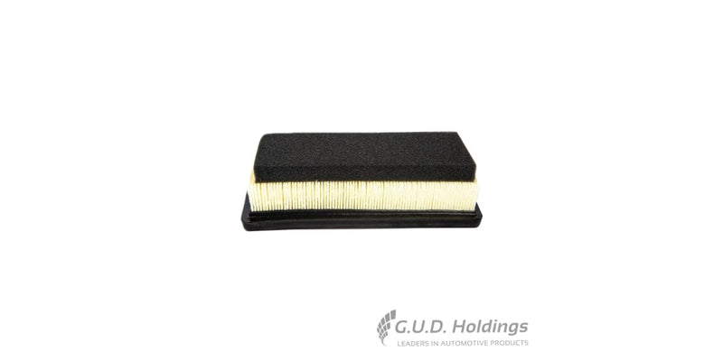 Fram Air Filter CA12407 tools at Modern Auto Parts!