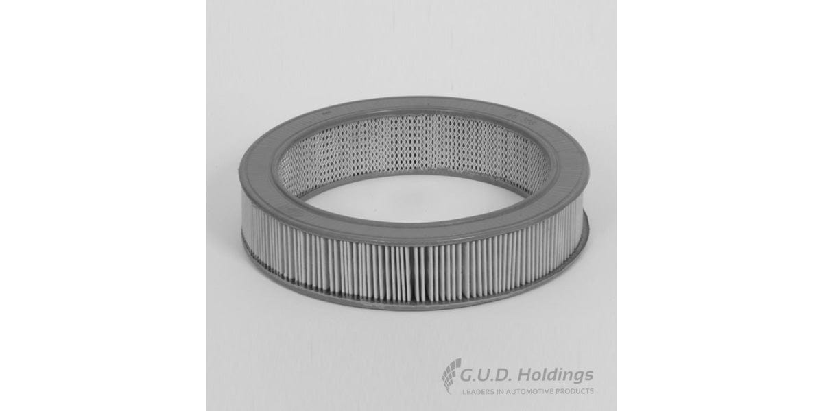 Fram Air Filter CA2604 tools at Modern Auto Parts!