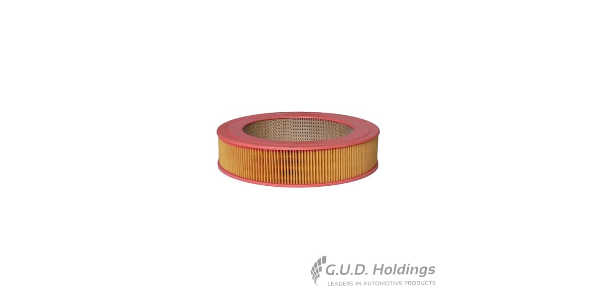 Fram Air Filter CA2621 tools at Modern Auto Parts!