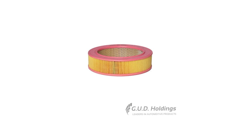 Fram Air Filter CA2689 tools at Modern Auto Parts!