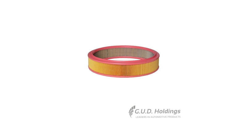 Fram Air Filter CA3175 tools at Modern Auto Parts!