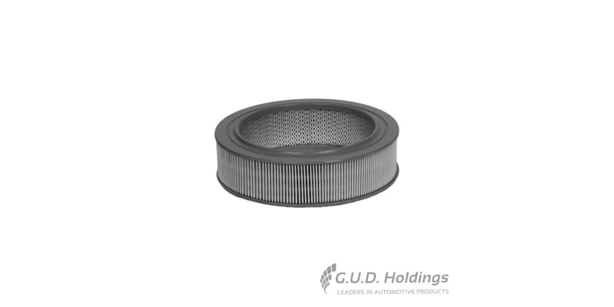 Fram Air Filter CA4171 tools at Modern Auto Parts!