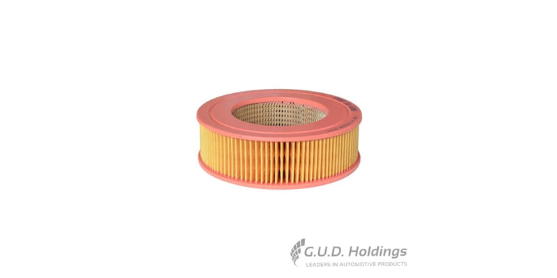 Fram Air Filter CA4296 tools at Modern Auto Parts!