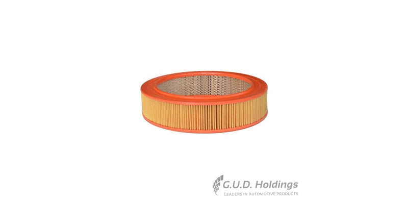 Fram Air Filter CA4325 tools at Modern Auto Parts!