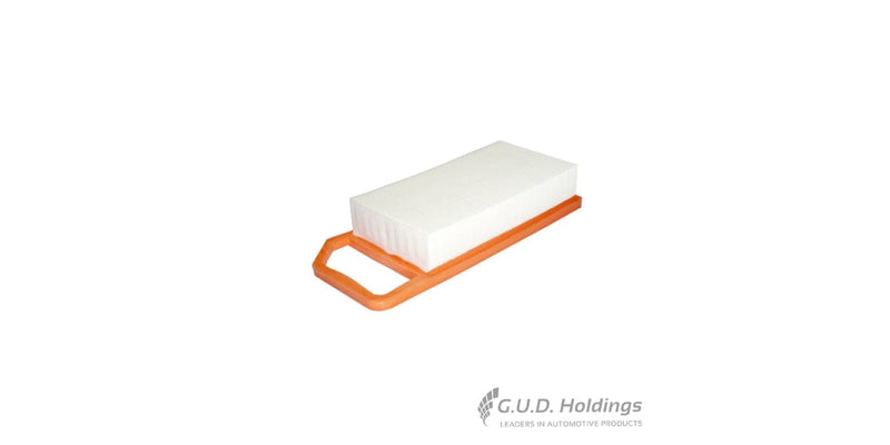 Fram Air Filter Citroen C5/ Peugeot 407 CA9924 tools at Modern Auto Parts!