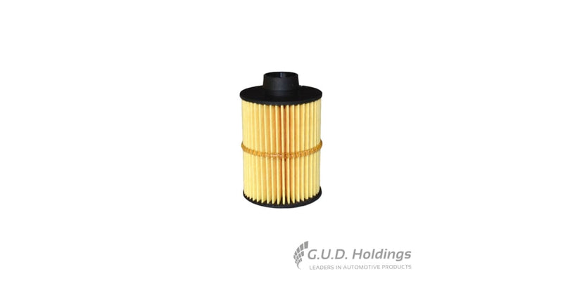 Fram Diesel Filter Chev Captiva/ Relay C10026A tools at Modern Auto Parts!