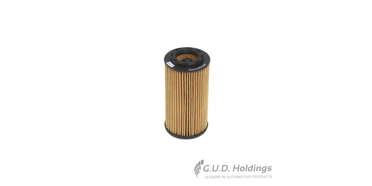 Fram Oil Filter 2.0Fsi & Gti CH9911ECO tools at Modern Auto Parts!