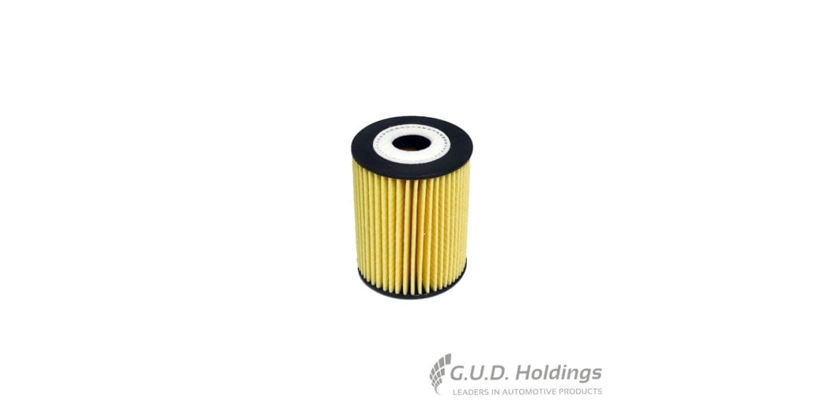 Fram Oil Filter Chev Cruze 2.0/Captiva CH10532ECO tools at Modern Auto Parts!