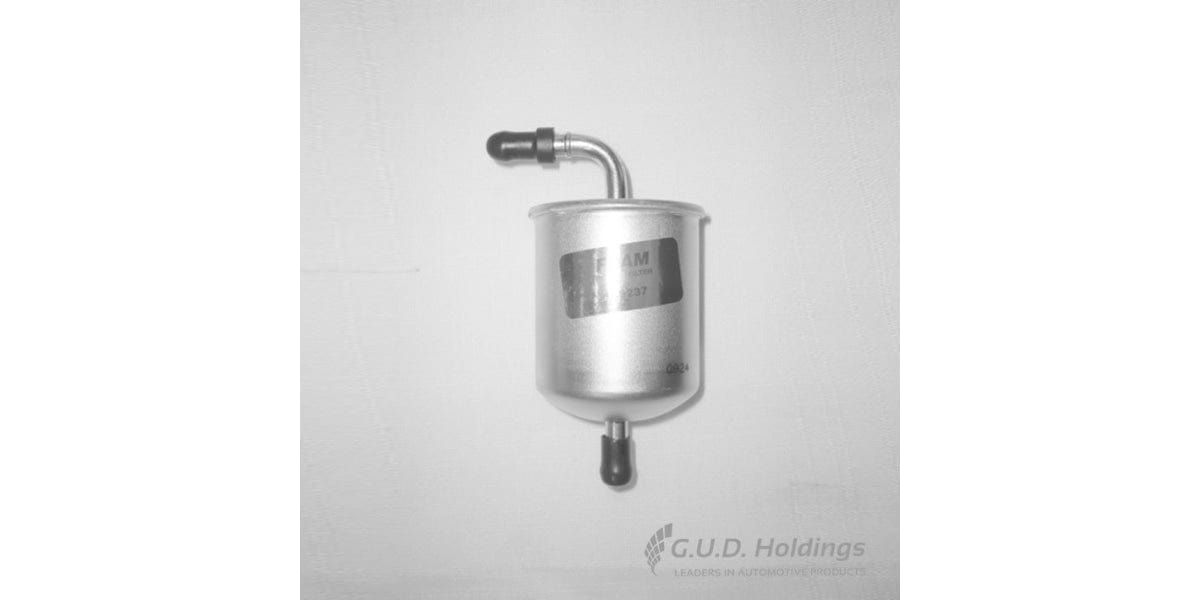 Fram Petrol Filter G5237 tools at Modern Auto Parts!