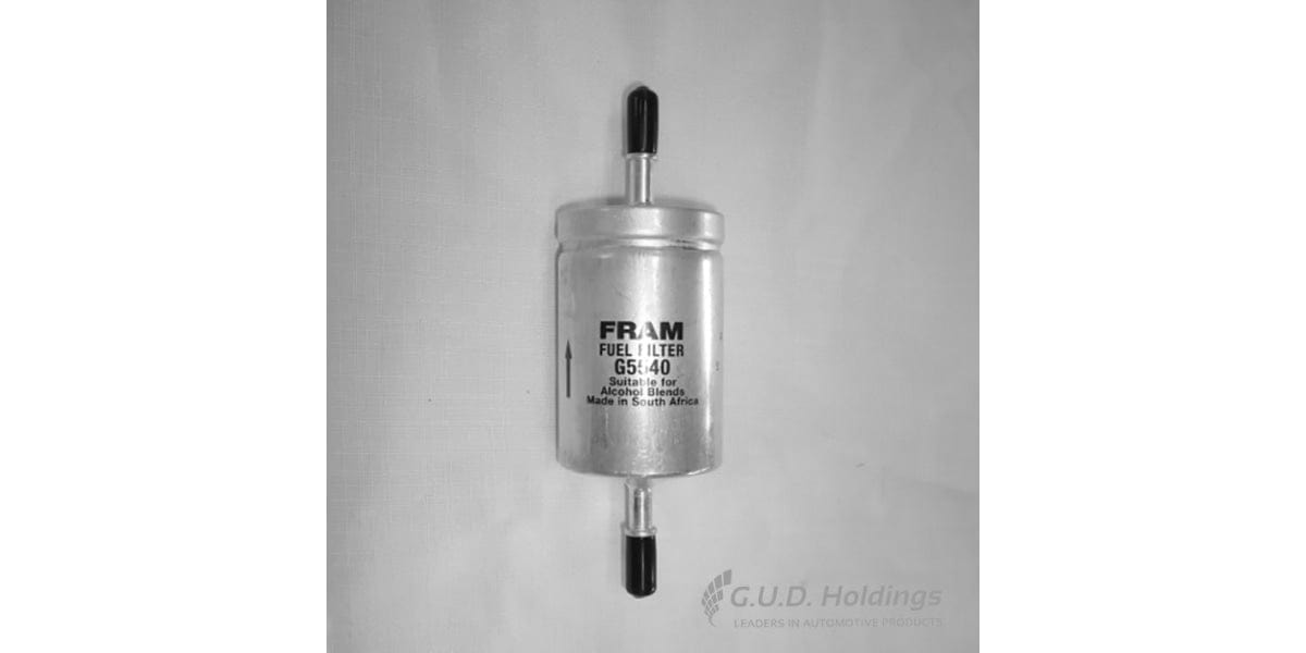 Fram Petrol Filter G5540 tools at Modern Auto Parts!