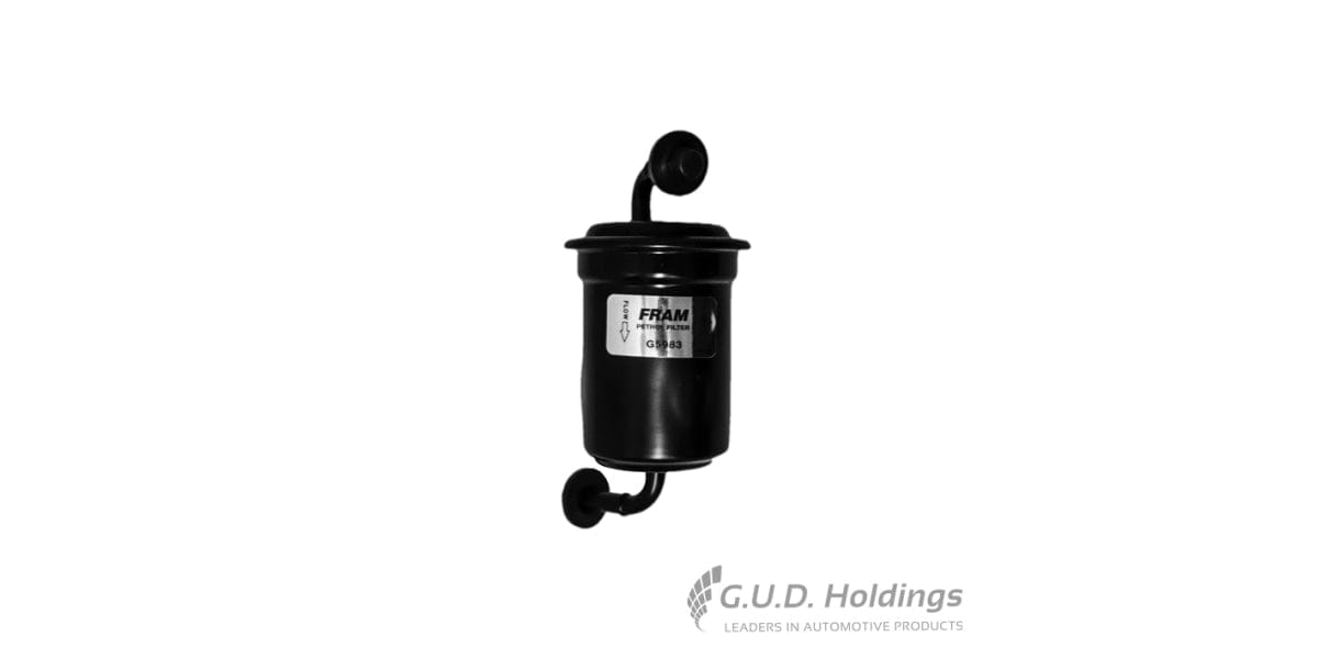Fram Petrol Filter G5983 tools at Modern Auto Parts!