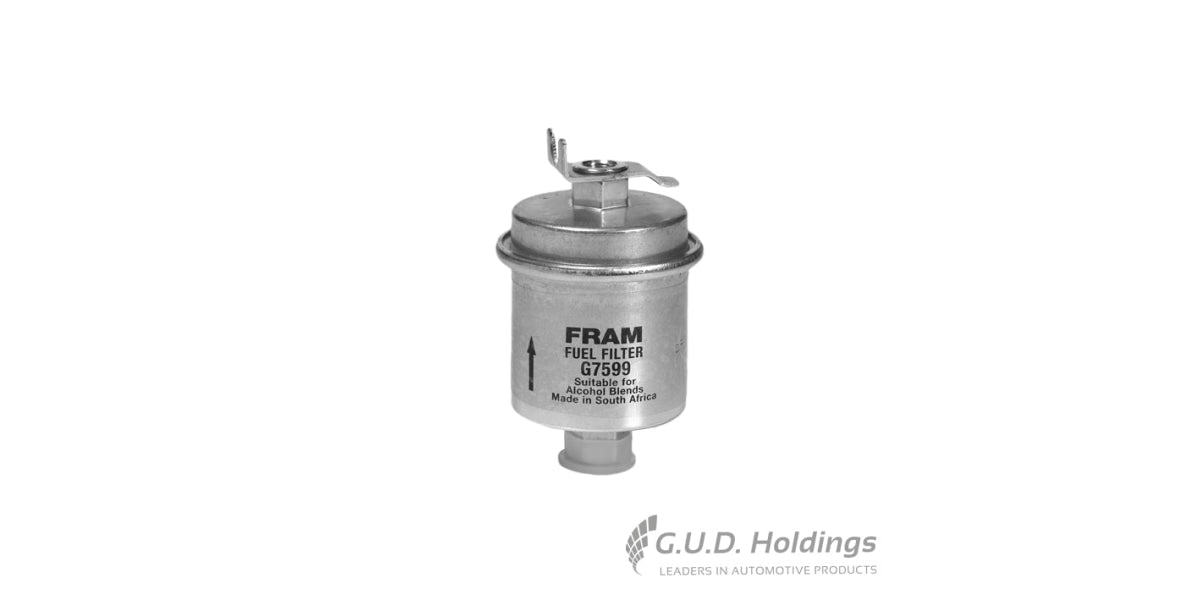 Fram Petrol Filter G7599 tools at Modern Auto Parts!
