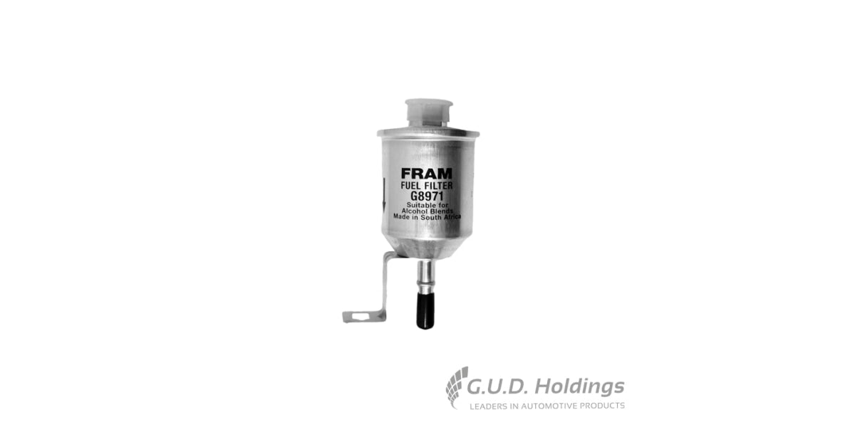 Fram Petrol Filter G8971 tools at Modern Auto Parts!