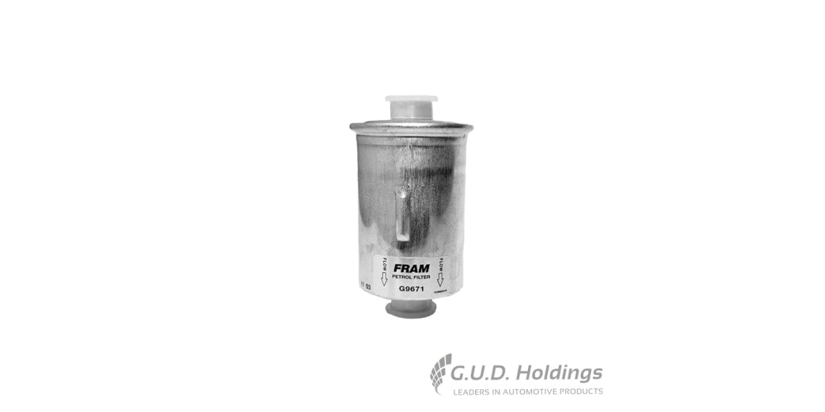 Fram Petrol Filter G9671 tools at Modern Auto Parts!
