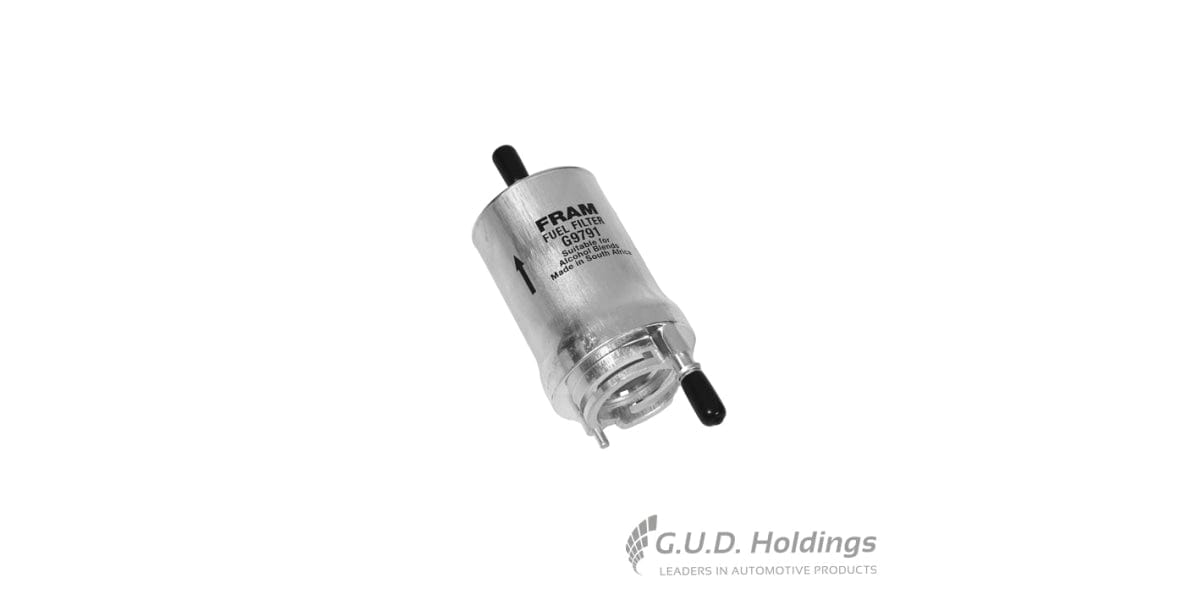 Fram Petrol Filter G9791 tools at Modern Auto Parts!