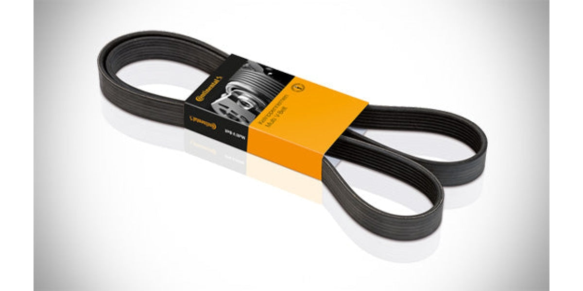 Micro V Belt Focus (6PK1245) at Modern Auto Parts!