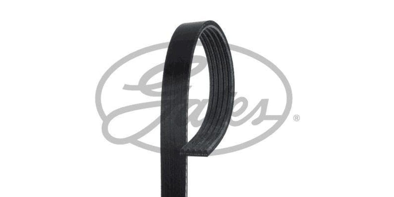 Multi-V Belt (5PK885) [Gates ] - Modern Auto Parts 