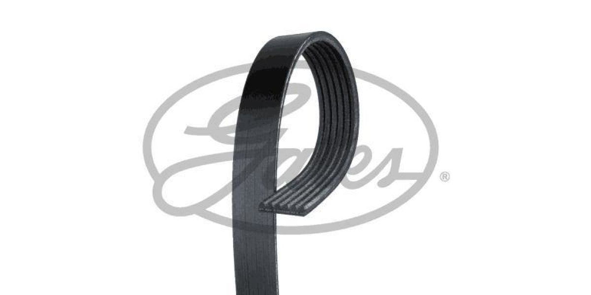 Multi-V Belt (6PK730) [Continental] - Modern Auto Parts 