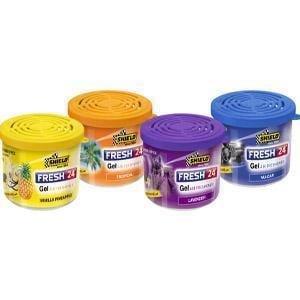 Shield  Fresh 24 Gel Air Fresheners - Modern Auto Parts 