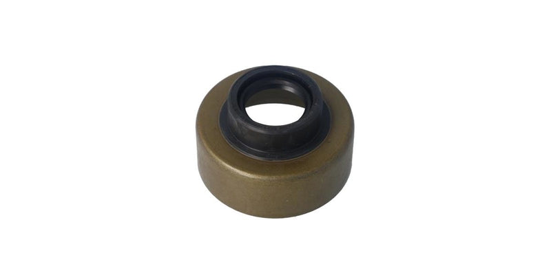 Os9610M Oil Seal (Pegasus)